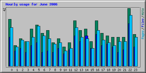 Hourly usage for June 2006