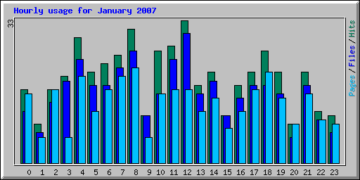 Hourly usage for January 2007