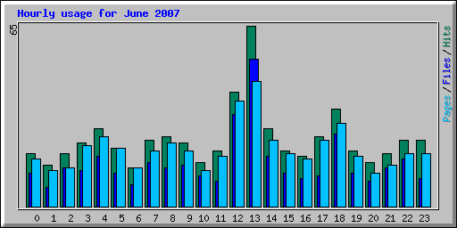 Hourly usage for June 2007