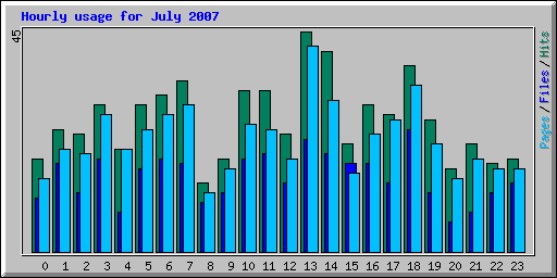 Hourly usage for July 2007