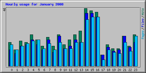 Hourly usage for January 2008