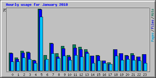 Hourly usage for January 2010