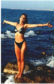 image006.gif (17479 bytes)