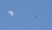 March 15.png