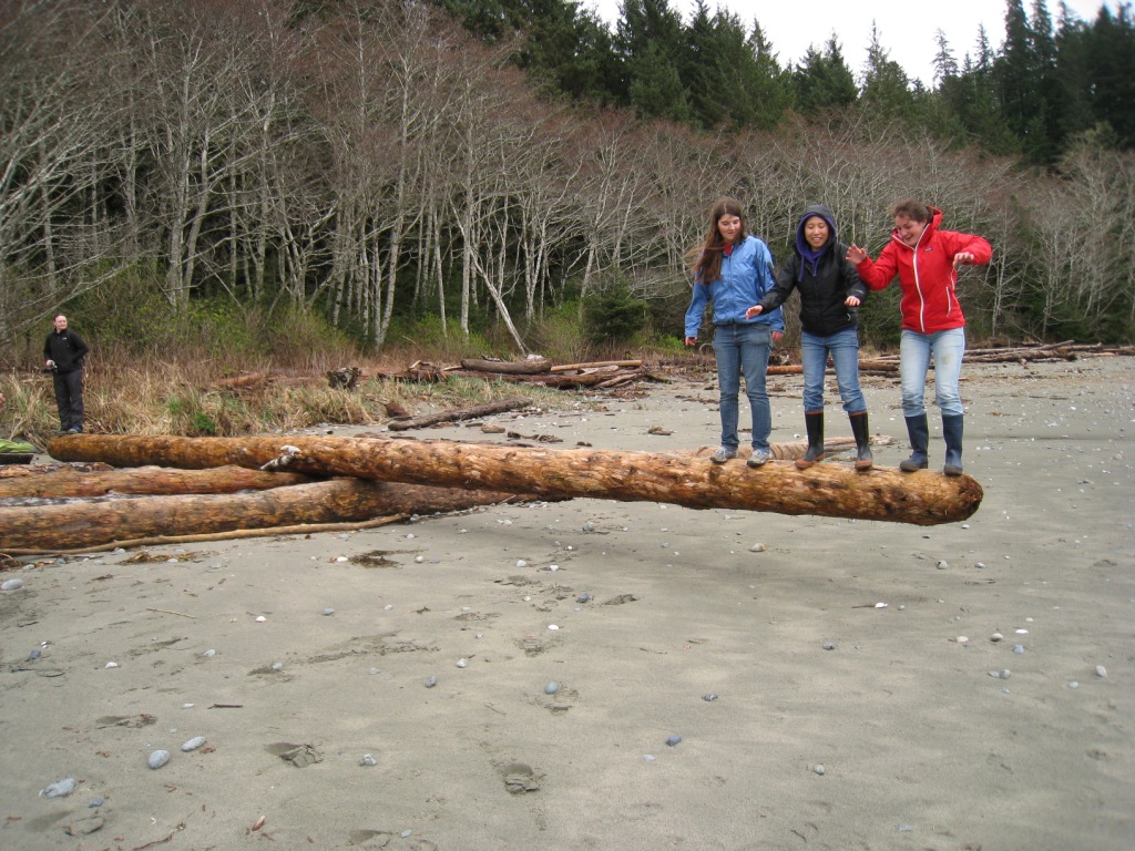 Beach teetertotter