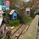 Bob visits Ferral Cat Town in Bamfield Bob visits Ferral Cat Town in Bamfield
