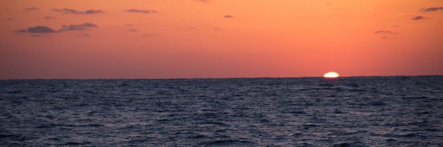 Steve_not_green_flash