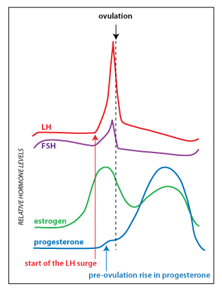 hormone-graph
