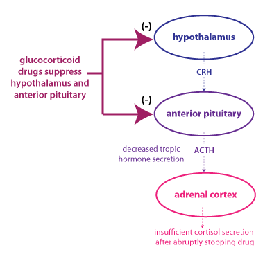 hypopituitary adrenal
        insufficiency