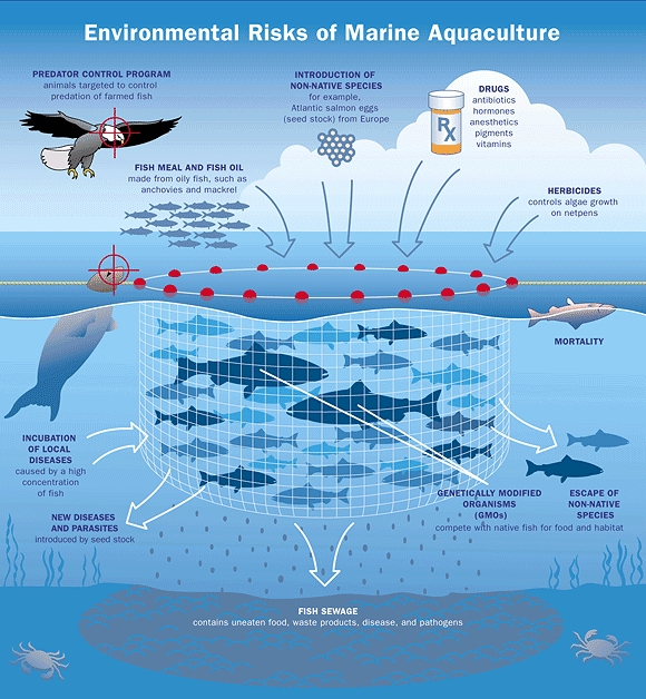 Aquaculture Ecosystem