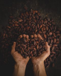 Colombian cacao