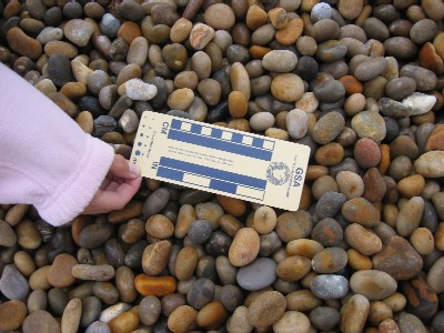 Chesil Beach Pebbles & Waves – Jessica's Nature Blog
