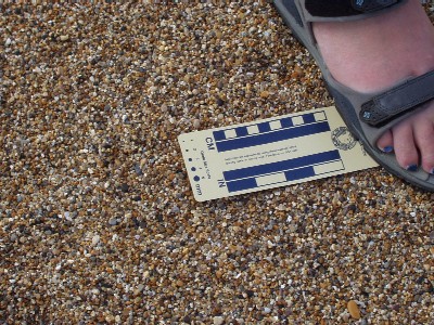 Chesil Beach, Dorset - Geological Guide, Introduction by Dr. Ian West.