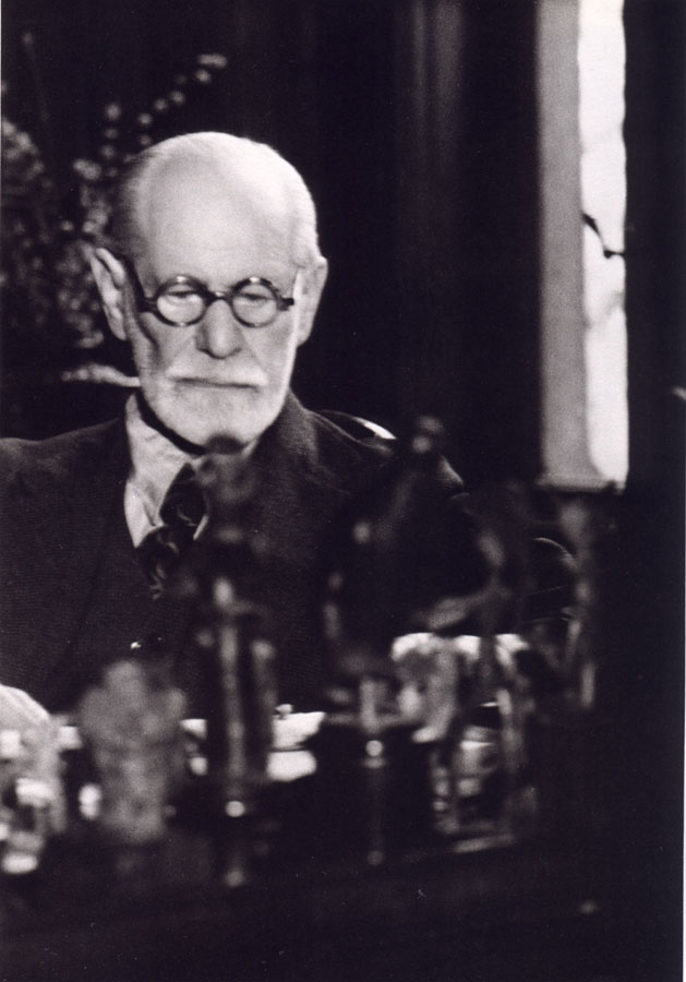Freud and the Literary Imagination