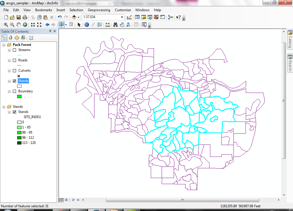 Using ArcMAP