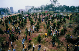 Source: Guangdong Forestry www.gdf.gov.cn