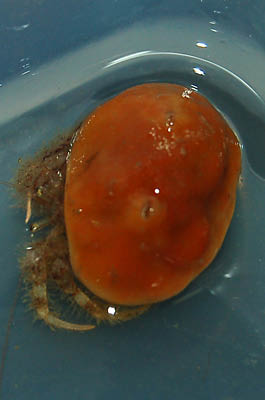 DSC_1034_edited-1