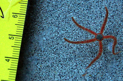 DSC_1079_edited-1