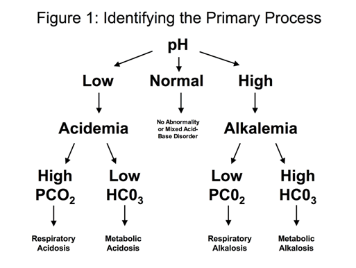 Blood Gas Values Chart