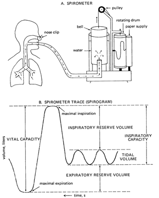 measurements of lung volume