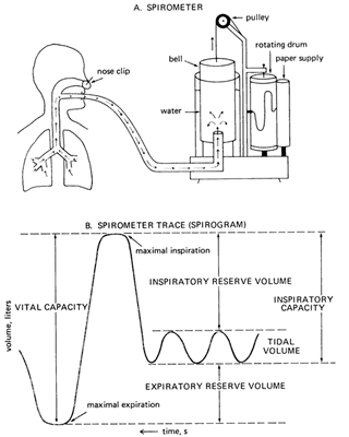 lung capacity pulmonary function pft volume vital experiment measure measurements total residual spirometer volumes testing respiratory washington does breath measured