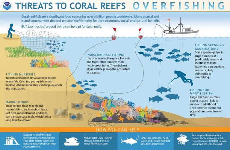 Ocean impacts – Political Ecology of the World Food System — Spring 2018