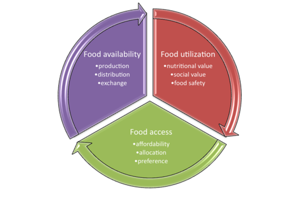 from-global-to-local-the-scales-of-food-access-political-ecology-of