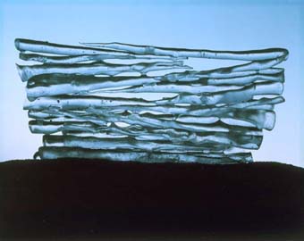 Andy Goldsworthy <em>Icicle Stack</em>, 1978  Andy Goldsworthy 2002