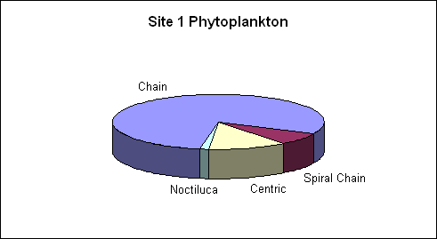 Site 1 Phytoplankton