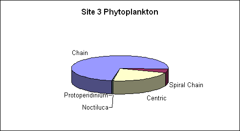 Site 3 Phytoplankton