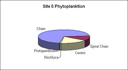 Site 5 Phytoplanktion