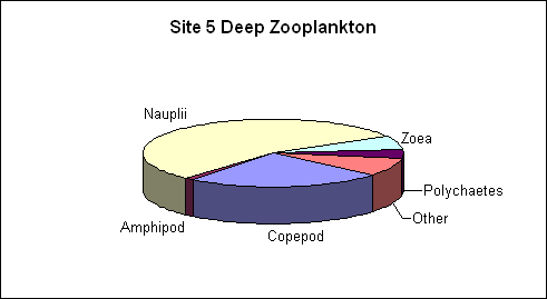 Site 5 Deep Zooplankton