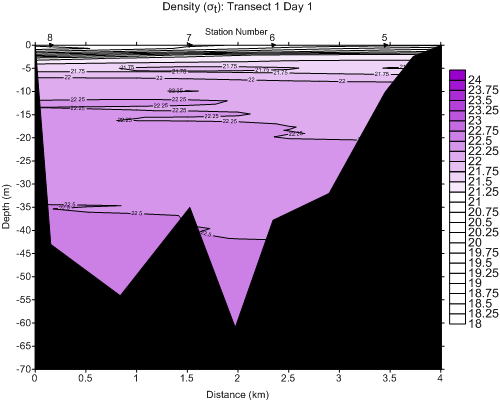 densitytran1day1