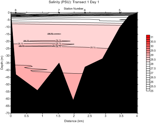 salinitytran1day1