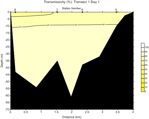 trantran1day1