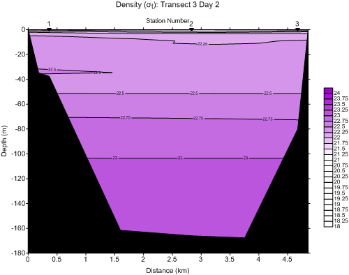 denstran3