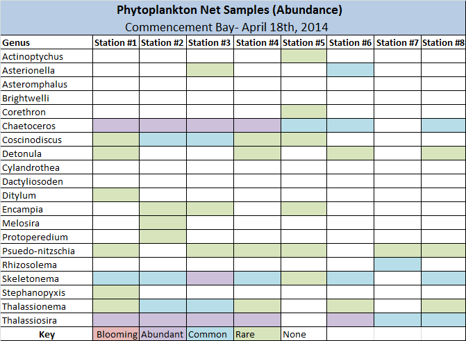 phytonetday2