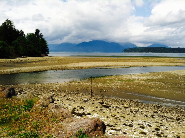 Low Tide