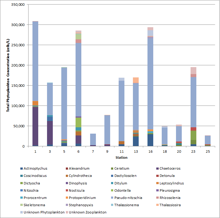 Phyto Thermocline