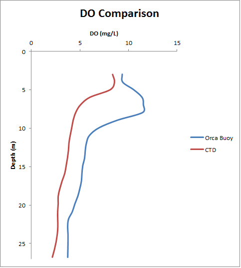 Dissolved Oxygen Profile