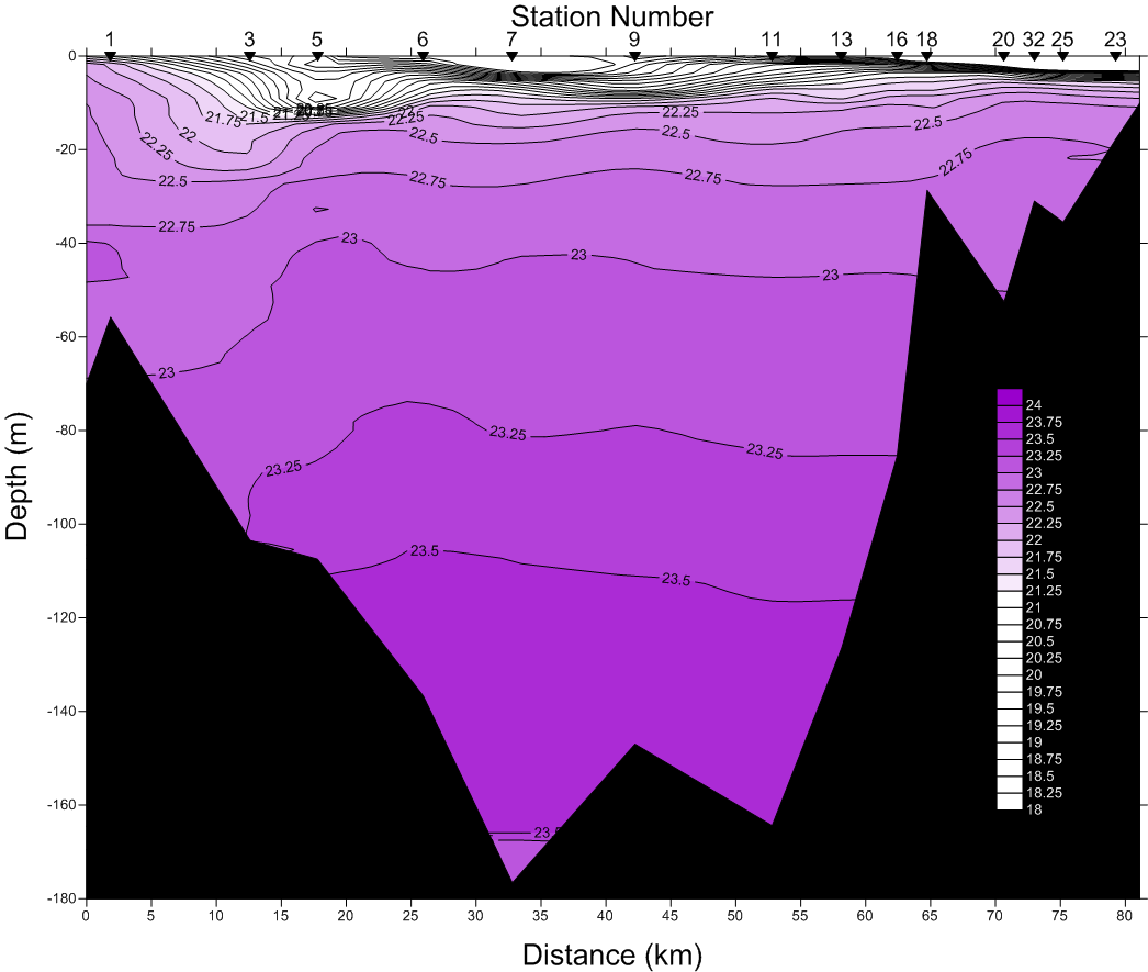 Density Profile