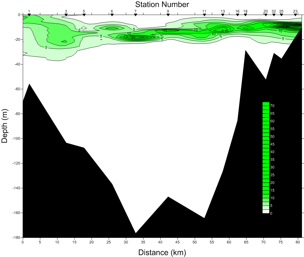 Fluorescence Profile