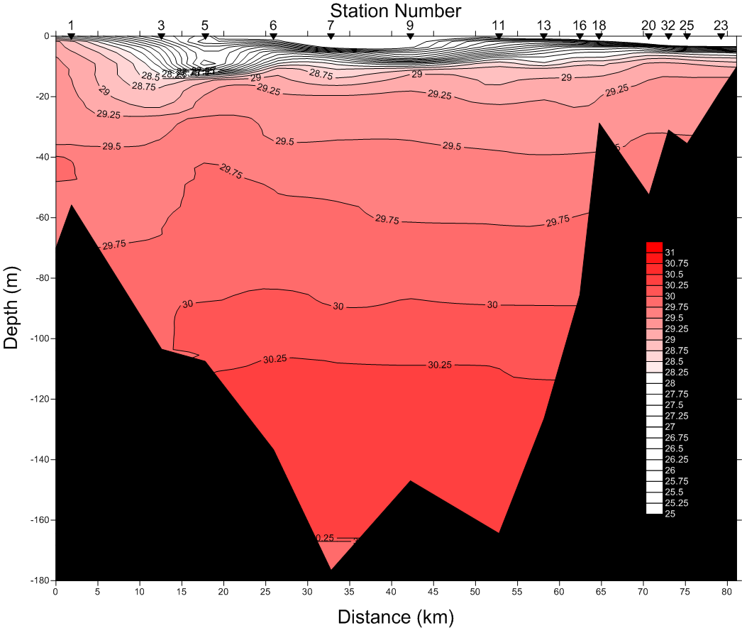 Salinity Profile